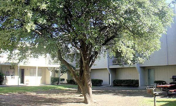 3423 Forest Ln #B2 - Photo 6 of 9