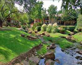 12920 Audelia Rd #C1 - Photo 1 of 1