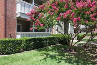 18600 Dallas Pkwy #C1 - Photo 1 of 1