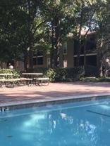 3636 W Red Bird Ln #B1 - Photo 1 of 1