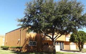 9110 Broadway #A1 - Photo 1 of 1