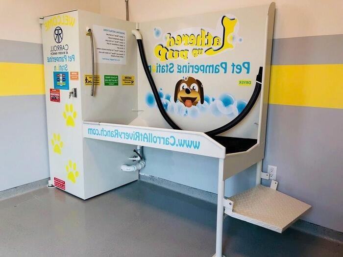 800 Wolf Ranch Pkwy #D1 - Photo 3 of 15