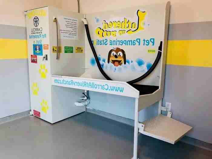 800 Wolf Ranch Pkwy #B1 - Photo 3 of 15