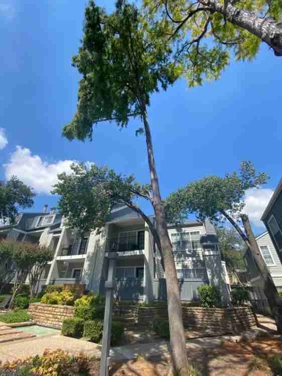 11620 Audelia Rd #C2 - Photo 5 of 25