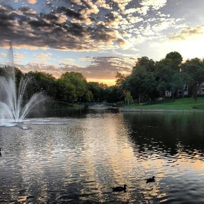 5350 Amesbury Dr #C2 - Photo 3 of 12