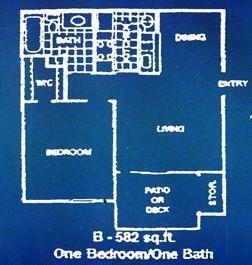 8331 Fredericksburg Rd #B1 - Photo 4 of 4