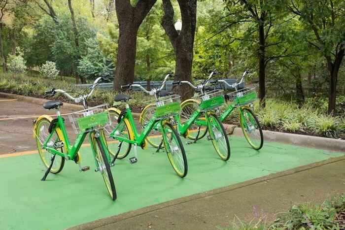 5657 Amesbury Dr #C5 - Photo 5 of 8