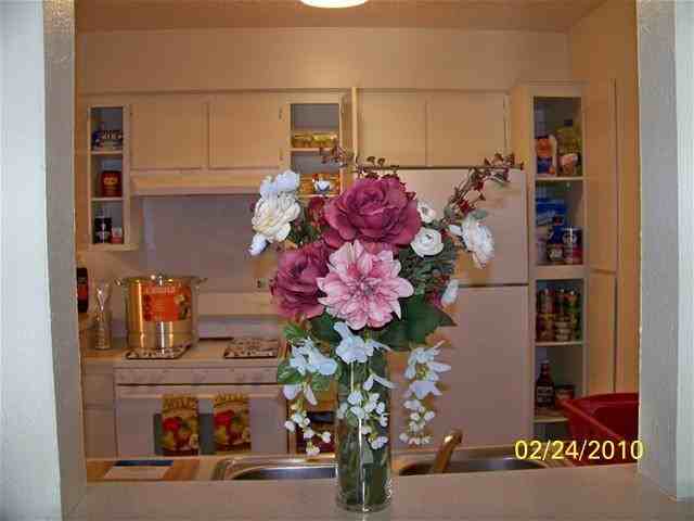 2901 Live Oak Dr #C2 - Photo 6 of 8