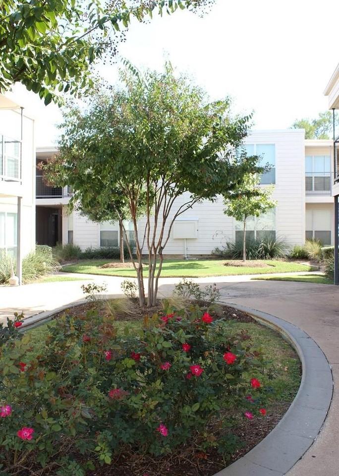 13717 Preston Rd #A1 - Photo 5 of 14