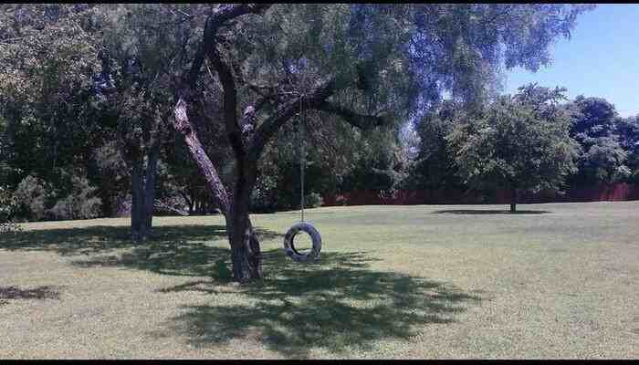 12315 Jones Maltsberger Rd #B2 - Photo 3 of 22