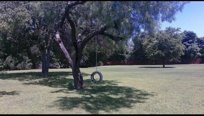 12315 Jones Maltsberger Rd #B3 - Photo 3 of 23