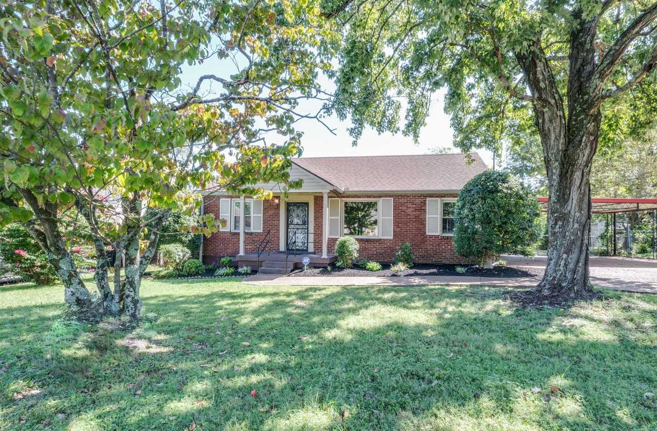 3314 Mimosa Drive - Photo 3 of 21