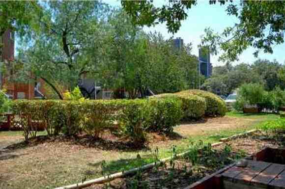 7750 Culebra Rd #B2 - Photo 4 of 19