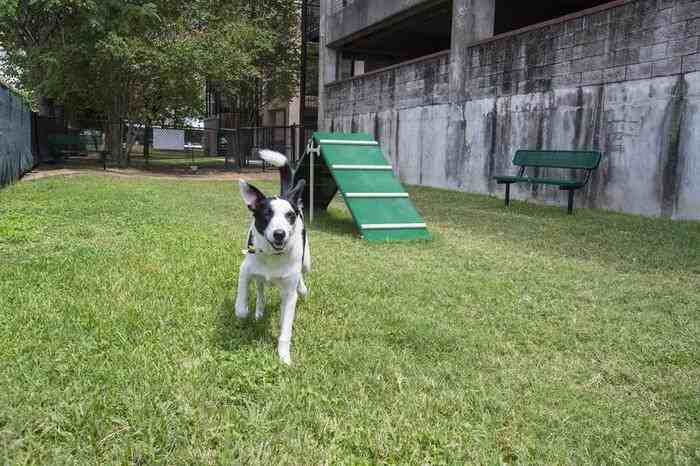 7733 Louis Pasteur Dr #B3 - Photo 5 of 14