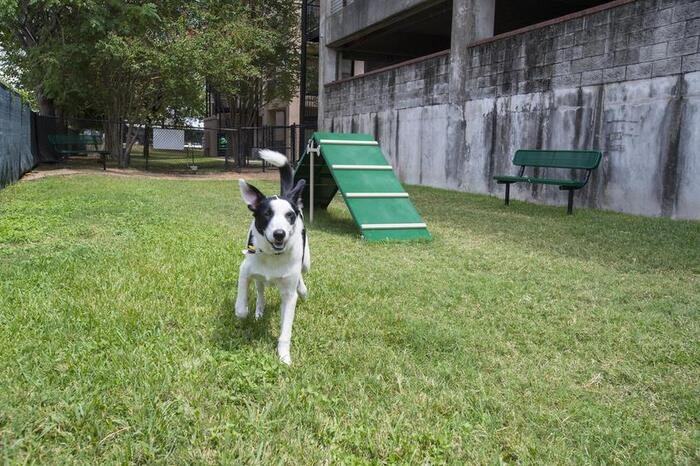 7733 Louis Pasteur Dr #A1 - Photo 5 of 12