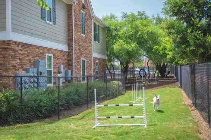 3838 Lockhill Selma Rd #B5 - Photo 3 of 13