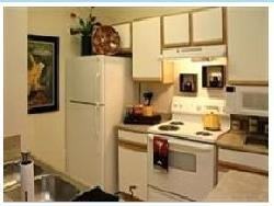 15302 Judson Rd #C1 - Photo 5 of 7