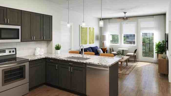 409 E Pflugerville Pkwy #C4 - Photo 5 of 10