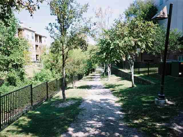 1121 Beachview St #D1 - Photo 5 of 18