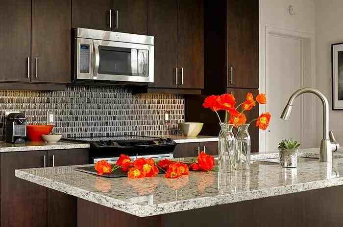 3700 Mckinney Ave #B17 - Photo 6 of 26