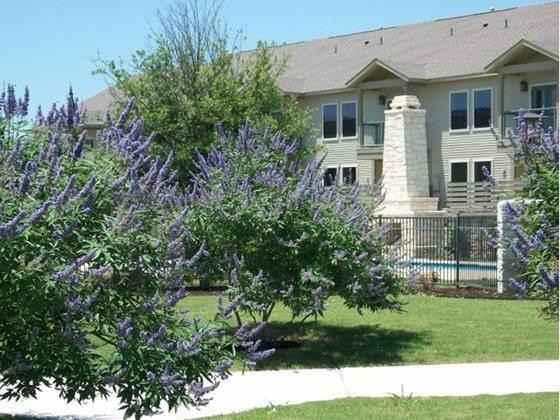 2210 Rogers Rd #B1 - Photo 2 of 8