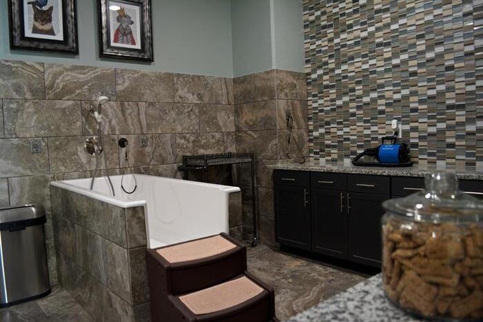 21626 Stonewall Pkwy #D1 - Photo 4 of 16