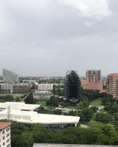 2920 Carlisle St #B8 - Photo 1 of 1