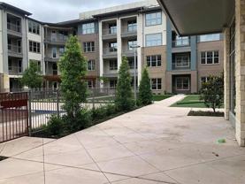 3640 Mapleshade Ln #C1 - Photo 1 of 1