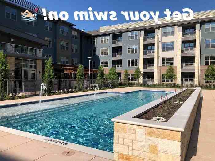 3640 Mapleshade Ln #B1 - Photo 5 of 28