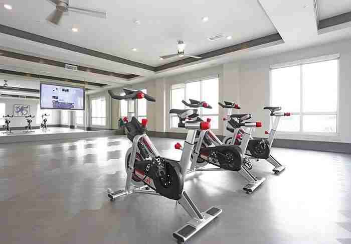 1900 N Beckley Ave #A5 - Photo 4 of 22