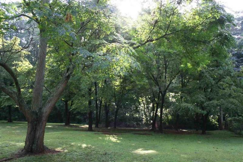 3600 Lakewood Rd Nw - Photo 2 of 28