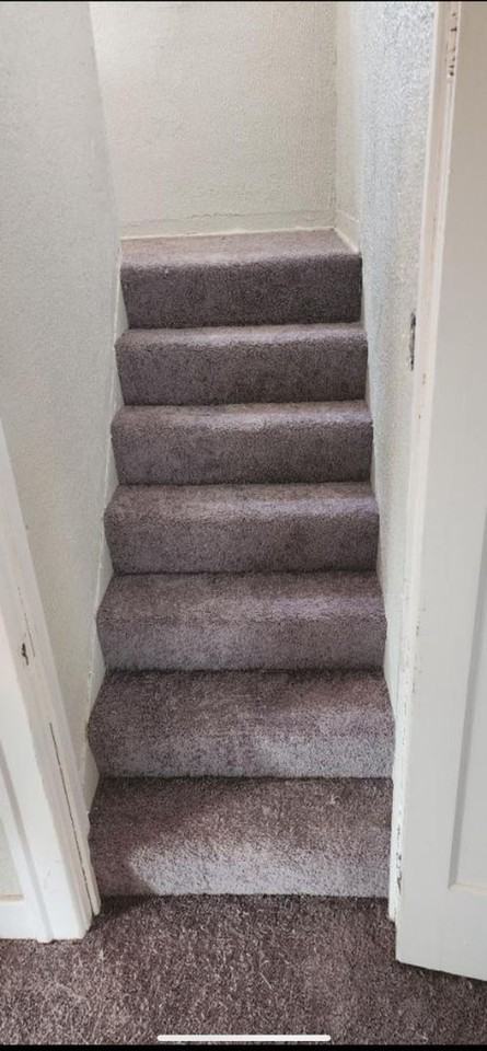 3031 Lawrence St - Photo 7 of 8