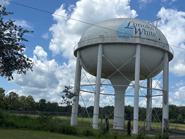 2450 Rosebud Road - Photo 5 of 13