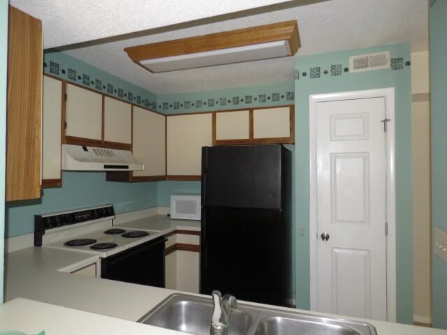 3803 Chimney Ridge Place - Photo 4 of 22