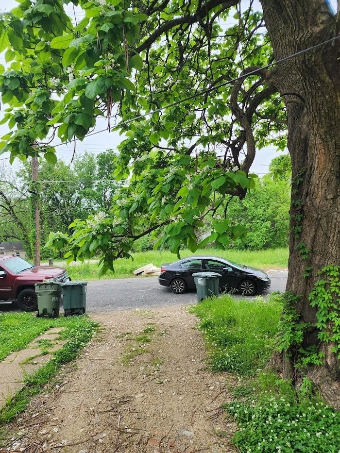 306 E Waldorf Ave - Photo 2 of 14