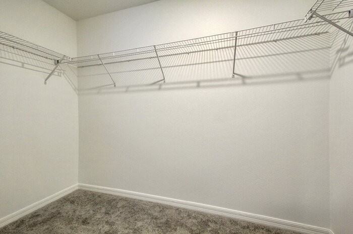 10224 Trumpet Honeysuckle Way - Photo 3 of 30