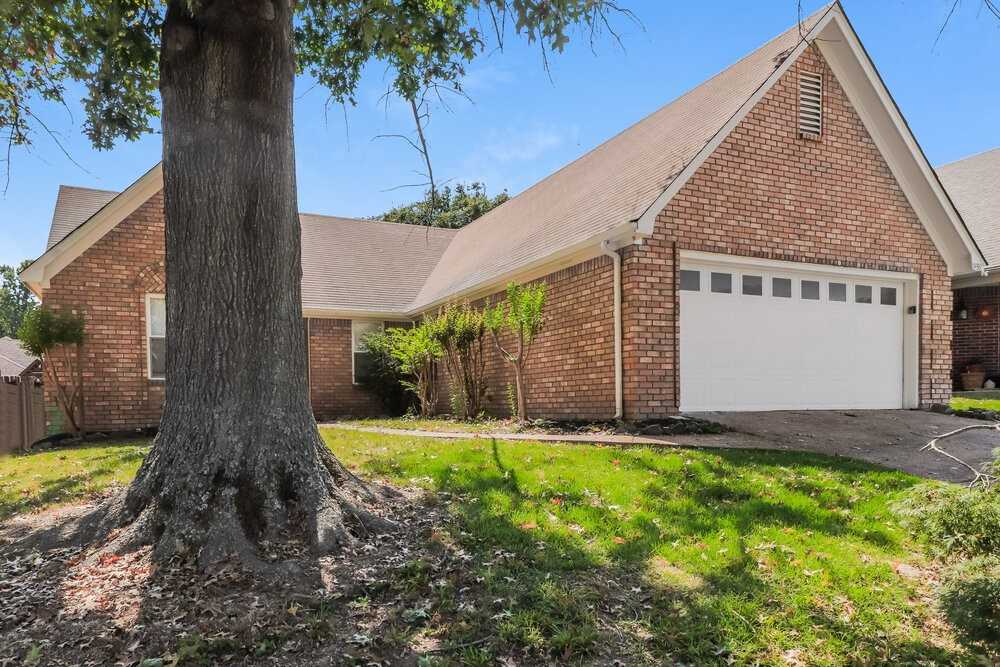 7439 Overcreek Ln - Photo 3 of 16