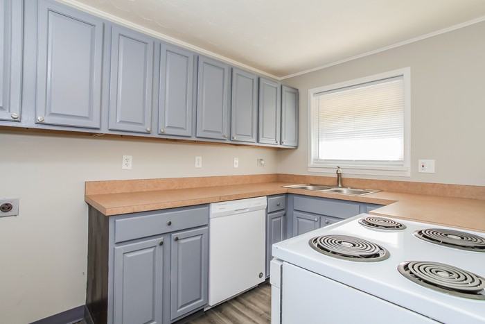 12121 Cornavin Court - Photo 4 of 10