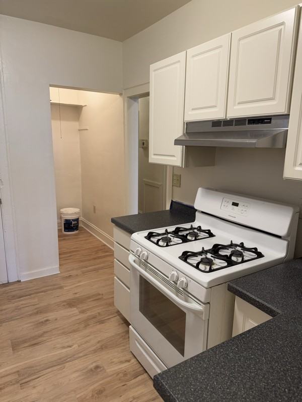 8220 S Langley Ave #1stFL - Photo 6 of 13