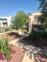 7928 E Colette Cir #96 - Photo 1 of 1