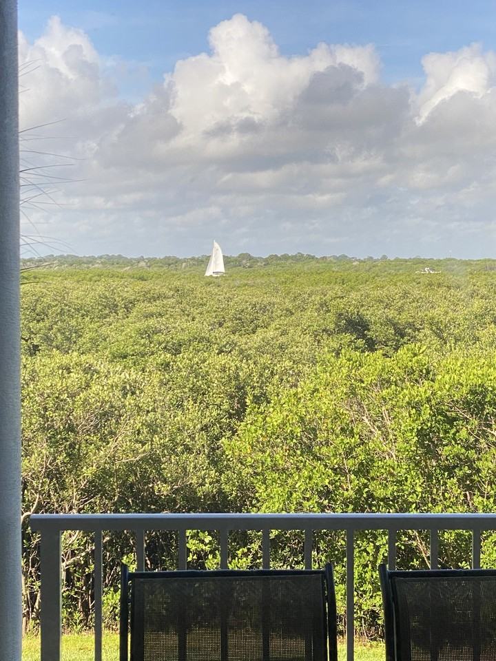 4672 Riverwalk Village Ct #8203 - Photo 2 of 23