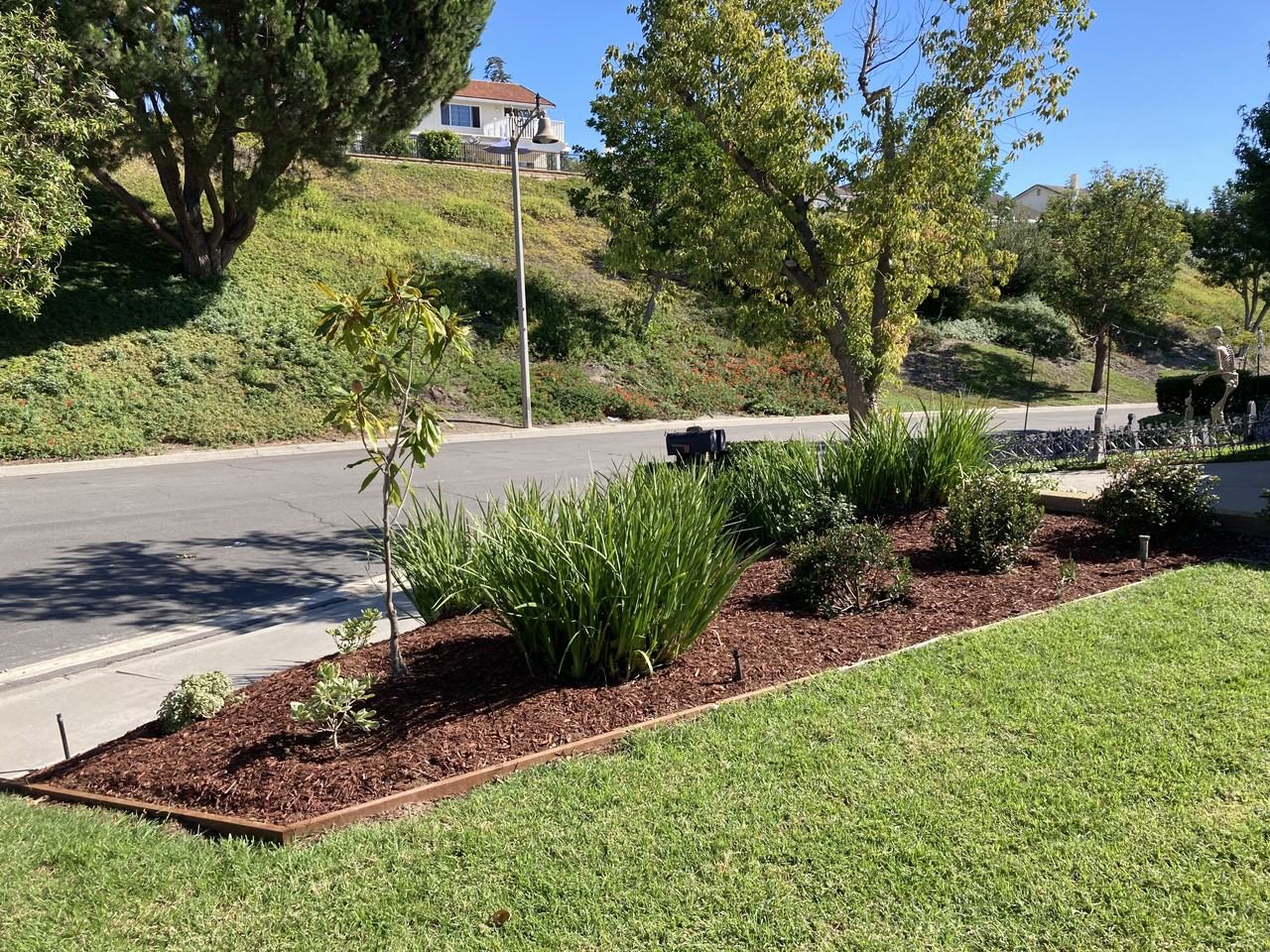 27915 Lucero #NA - Photo 4 of 30