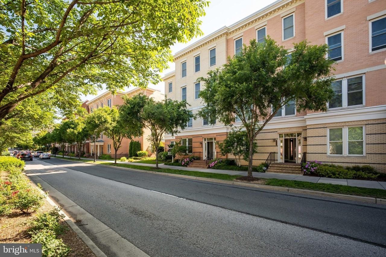 2215 Richmond Hwy Unit 101 #101 - Photo 4 of 32