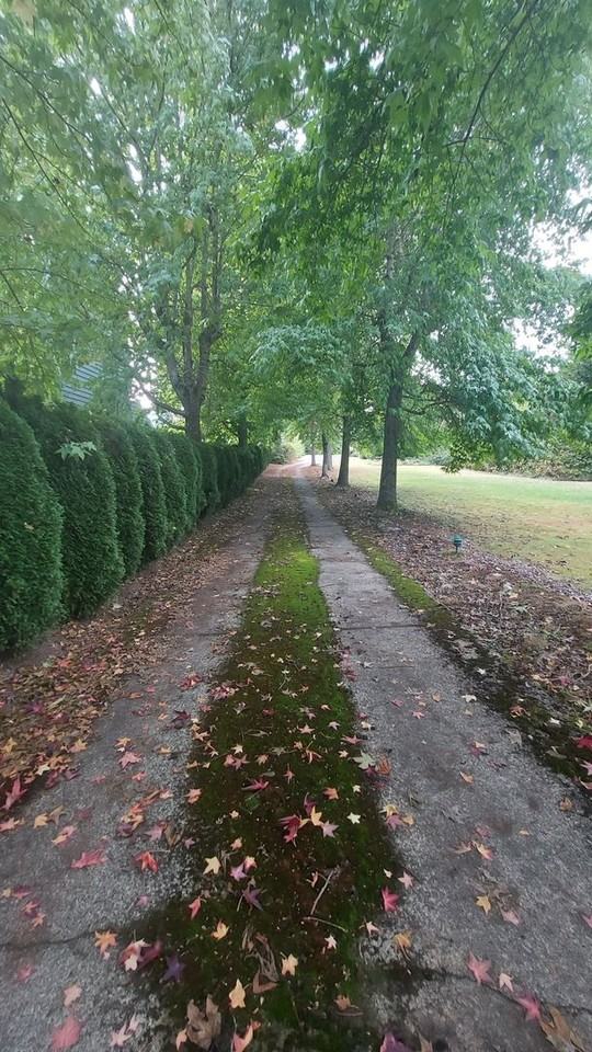 24445 Marine View Drive South - Photo 4 of 50