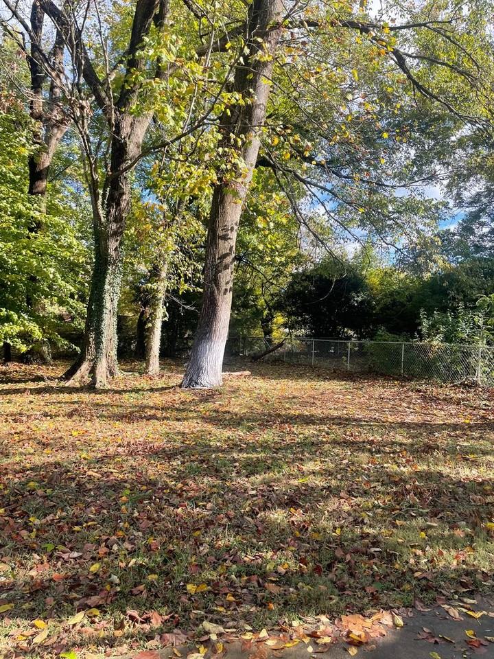 4430 Faraday Street - Photo 6 of 20