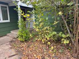 930 54th St - Photo 1 of 1