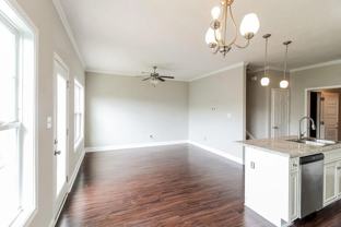 4419 Castellon Way - Photo 1 of 1