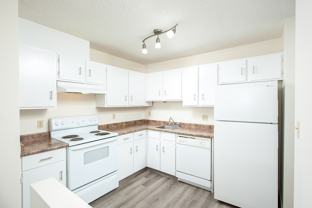 Daly Grove - Photo 1 of 1