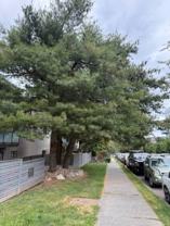825 E Eighth Ave - Photo 1 of 1