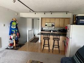 1081 Vail View Dr Unit B102 - Photo 1 of 1